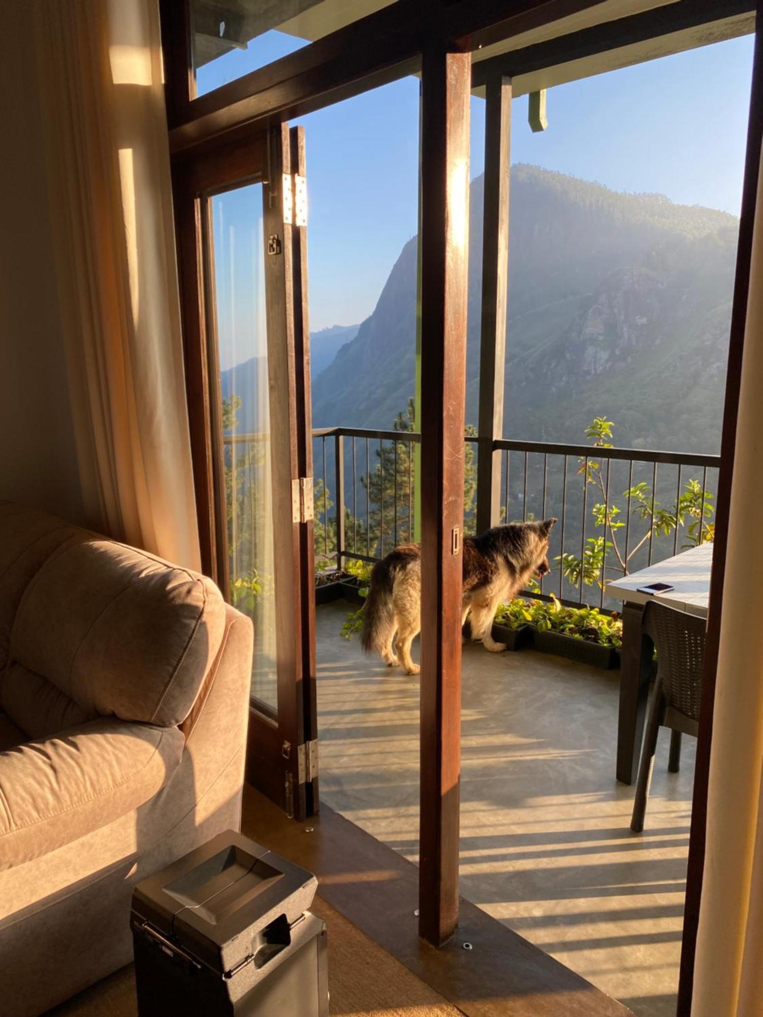 Star Gaze Lodge Елла Екстер'єр фото